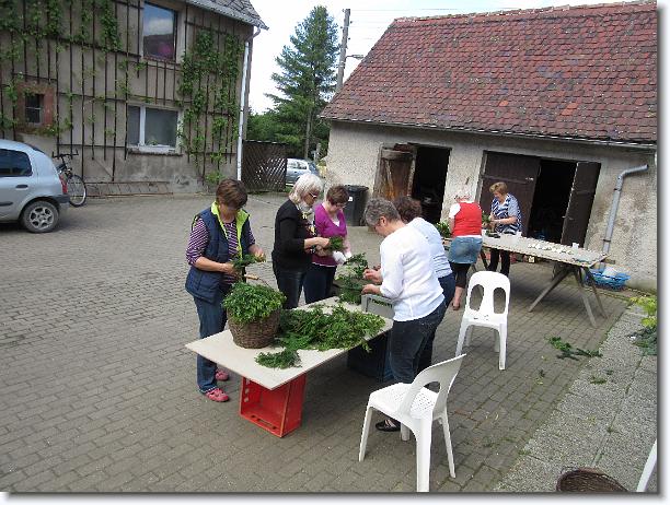 Nächstes Bild